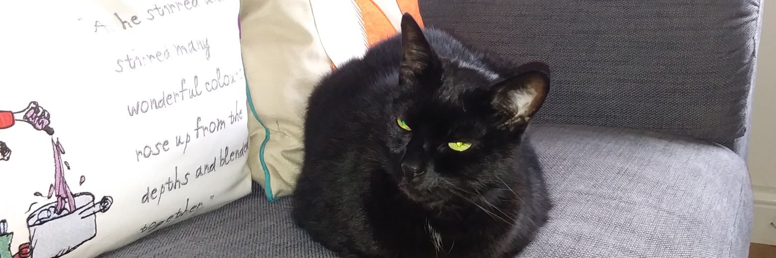 Dr. Gary Lowery banner