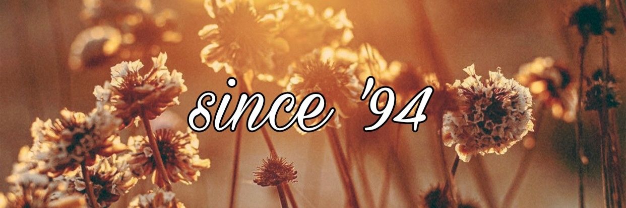 MLVBRJ's profile banner image