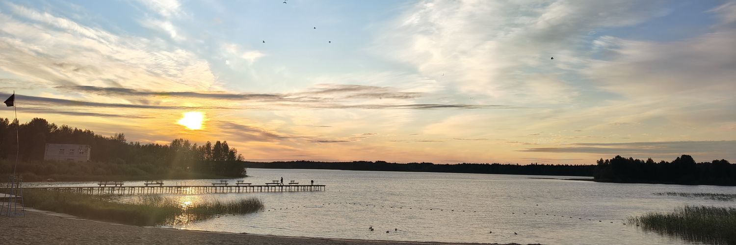 MsRonnyQ's profile banner image