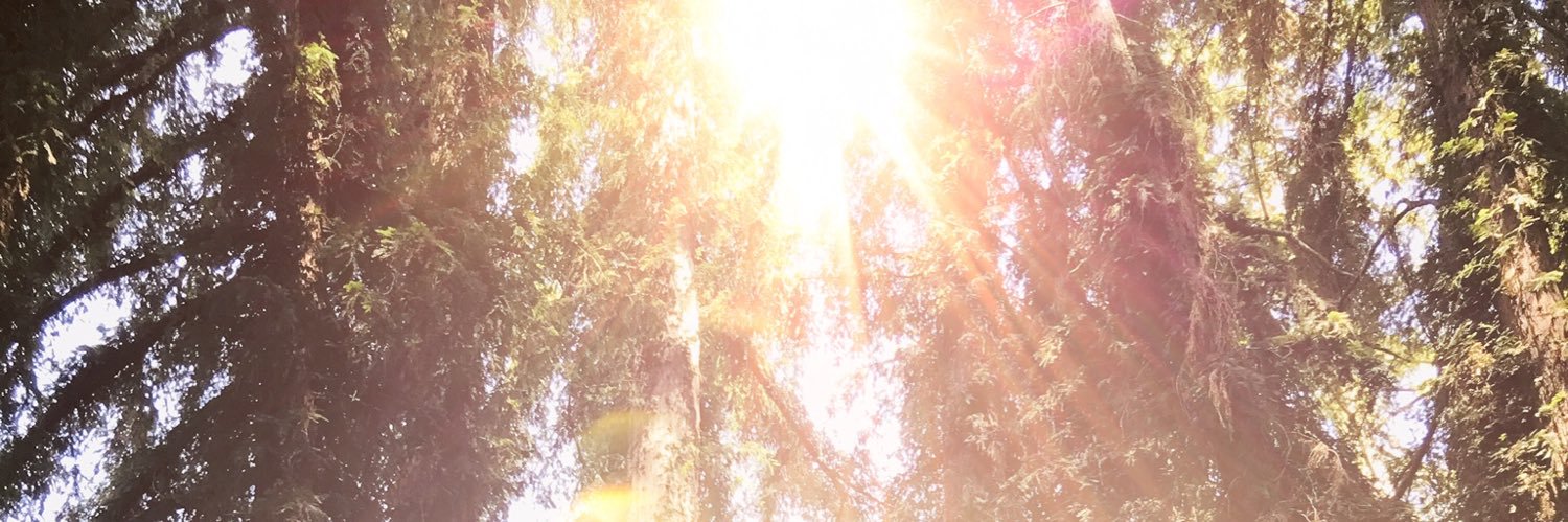 sadler_lilly's profile banner image