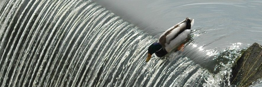 lexhallmark's profile banner image