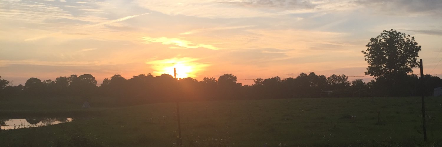 wesleyD10's profile banner image