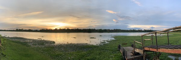 emelsewhere Profile Banner