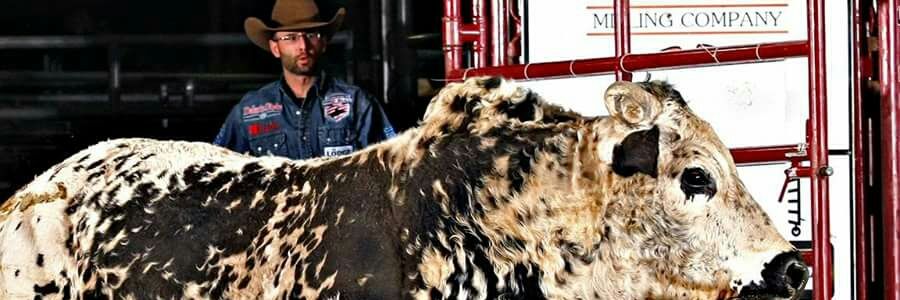 MattScharping's profile banner image