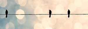 Melanie Berthiaume banner