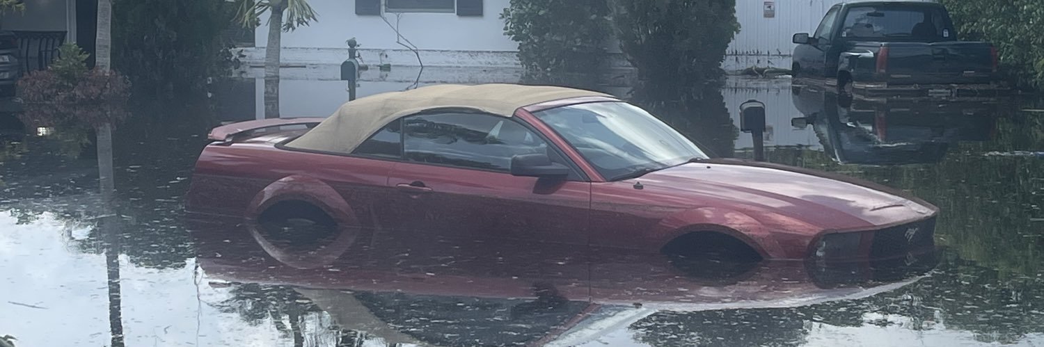 Brandon Steiner banner