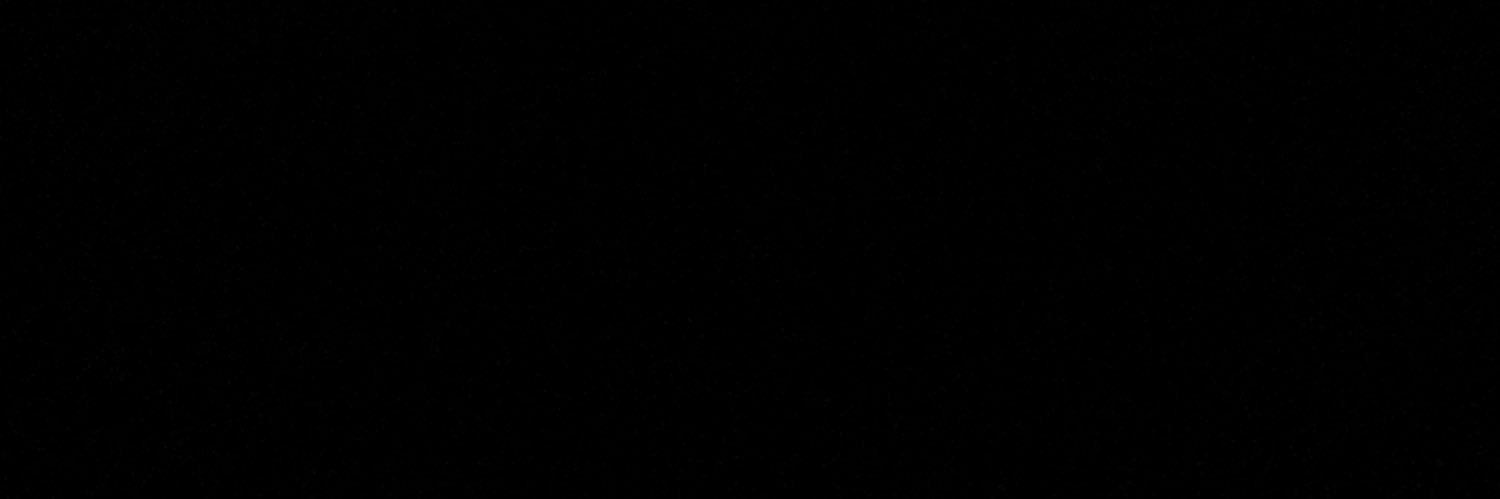 anelariaa's profile banner image