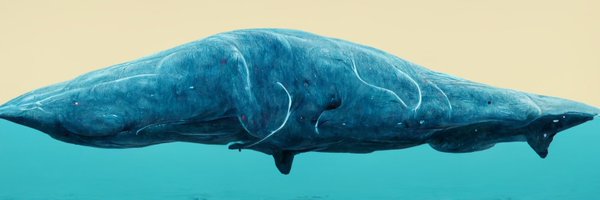 davegray Profile Banner