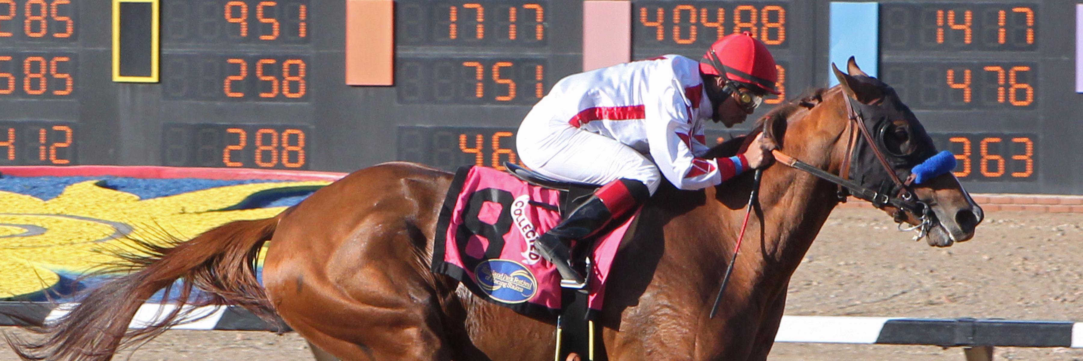 SunlandDerby's profile banner image