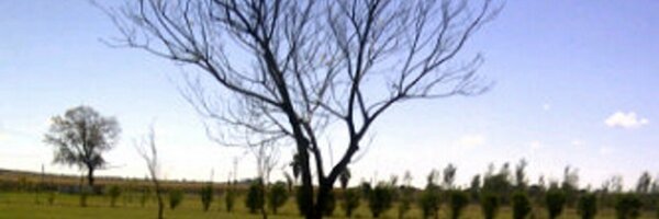 katt247gp Profile Banner