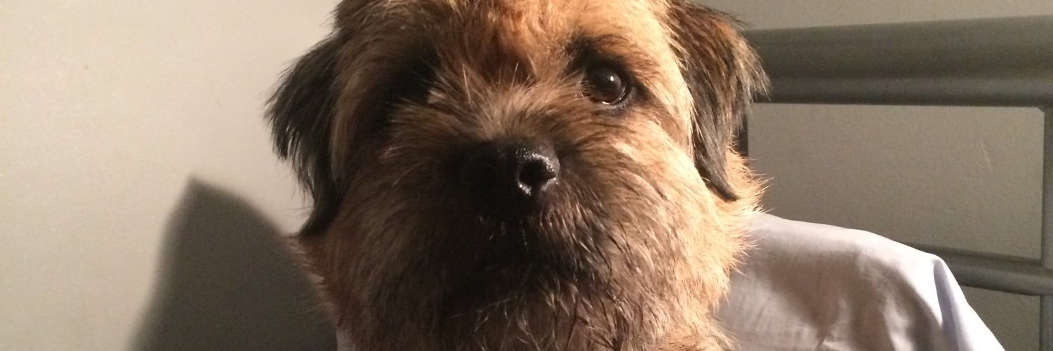 GowerHarry's profile banner image