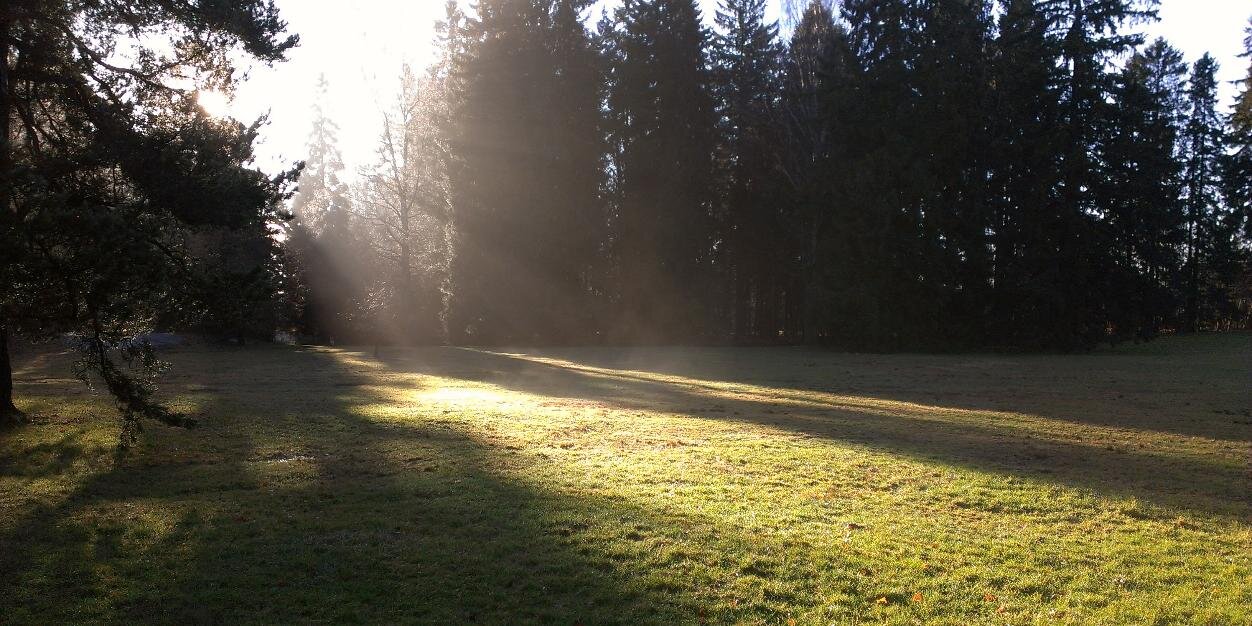 Håvard Moksnes banner