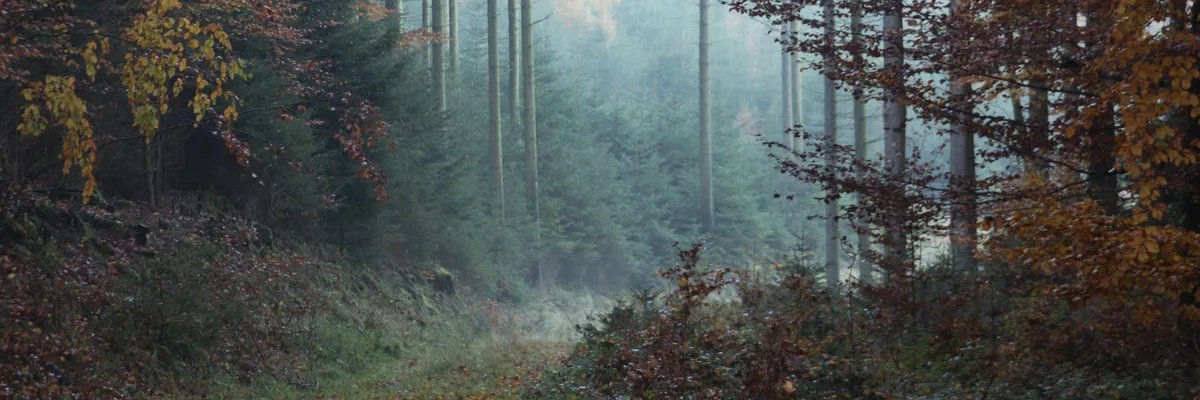 malvegyl's profile banner image