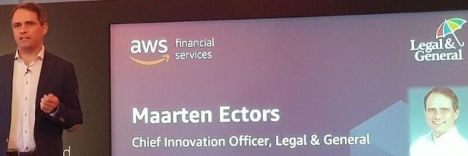 Maarten Ectors banner