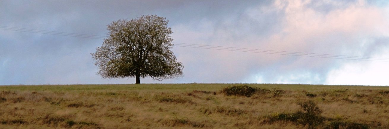 Florence Chatel banner