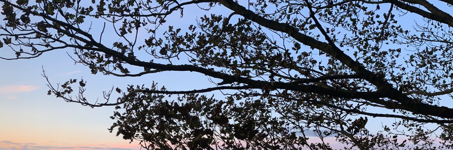jendarling_'s profile banner image