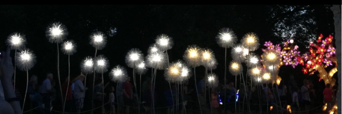 M_BAIN_'s profile banner image