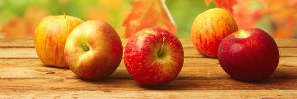 appleassoc Profile Banner