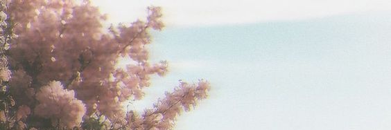 Morven_1's profile banner image