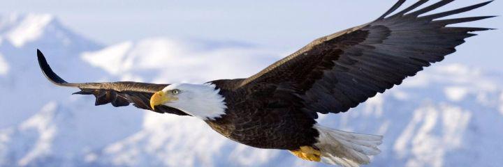 Ireene_vs's profile banner image