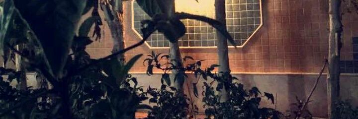 EnjoyInUrLife's profile banner image