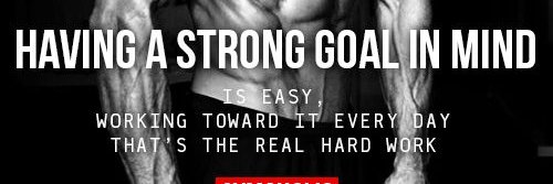 Muscle1Strenght's profile banner image