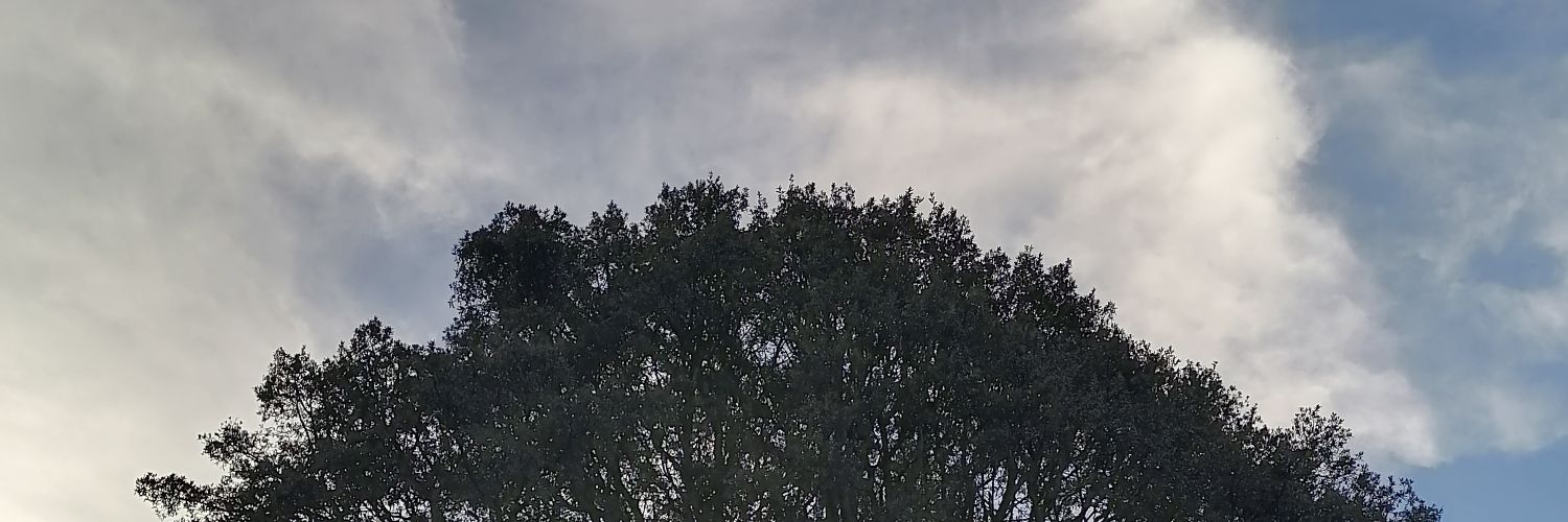 cs2125's profile banner image