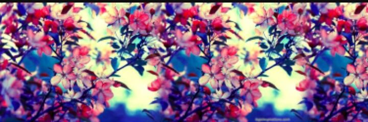 mysad1981's profile banner image