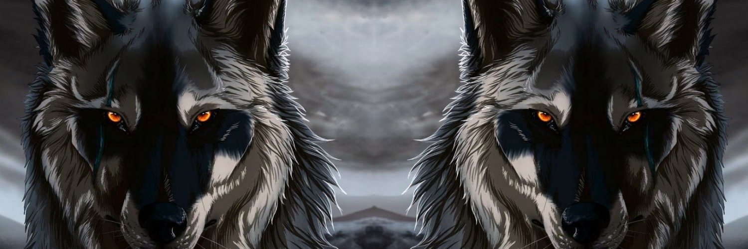 KochaOkami's profile banner image