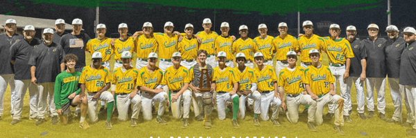 SaderBaseball Profile Banner