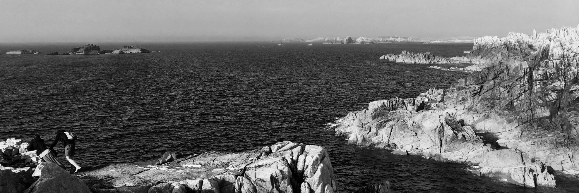oiseaugrise's profile banner image