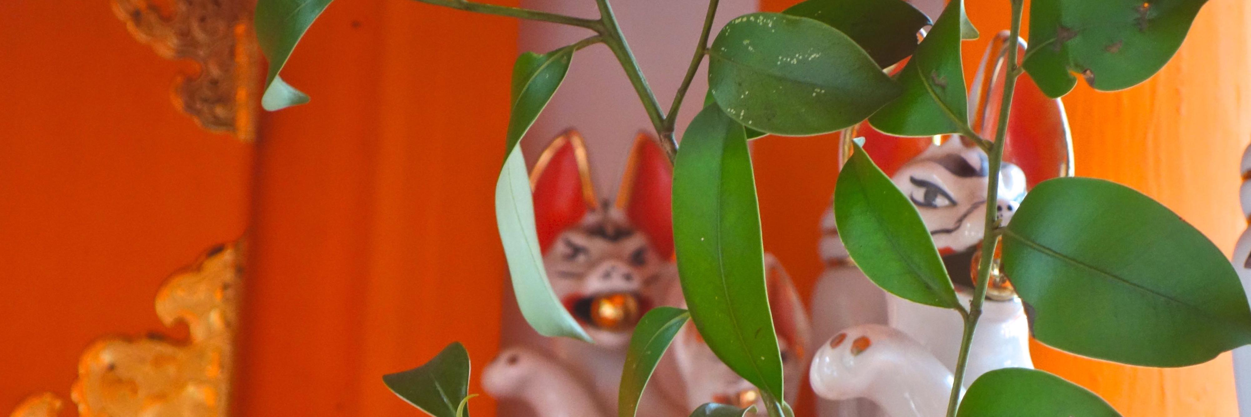 Matthew D. Thibeault banner