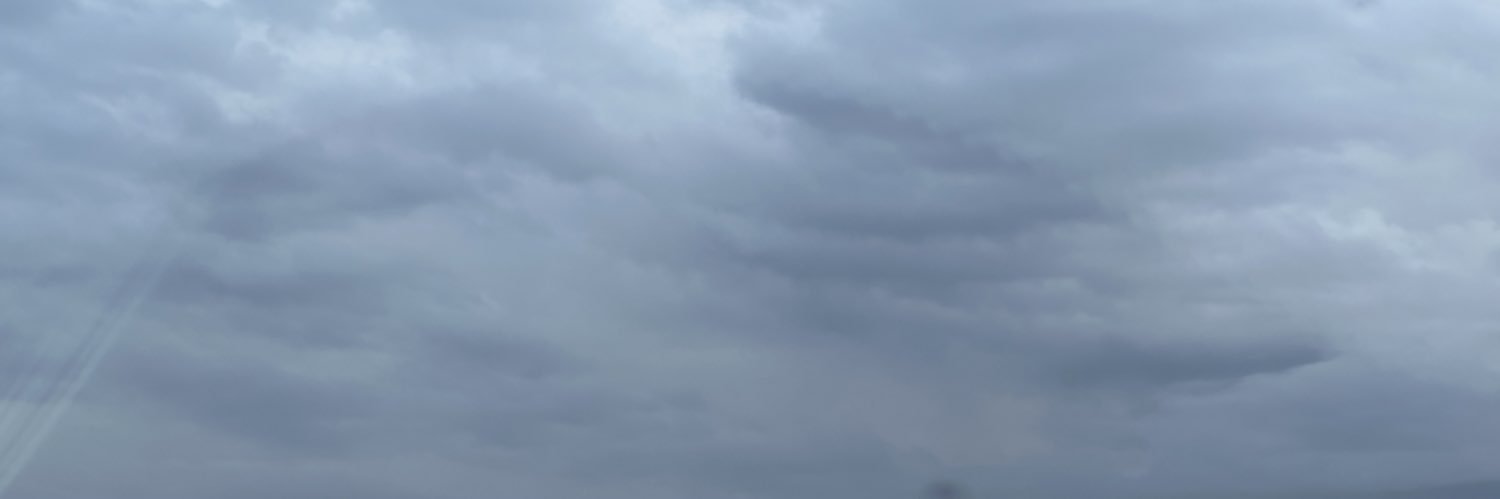 ortalama_human's profile banner image