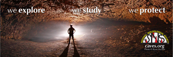 NSScaves Profile Banner