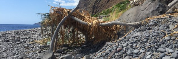 KatyMmorgan Profile Banner