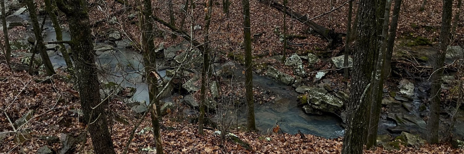 JessLutt's profile banner image