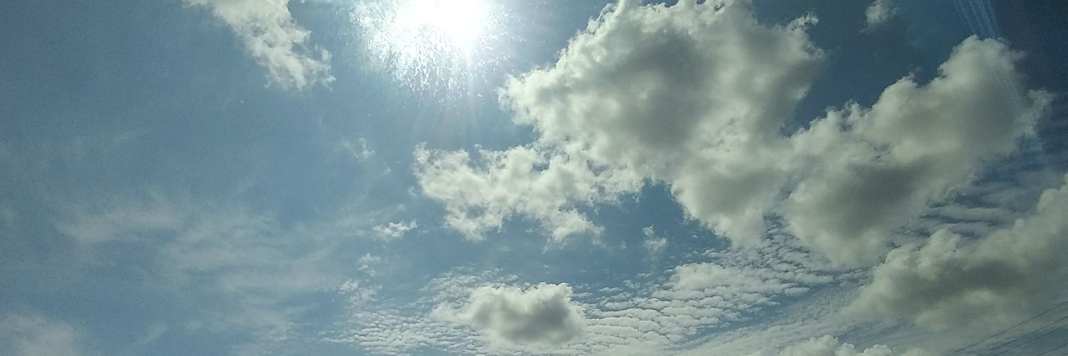 GRACE FERNANDEZ banner