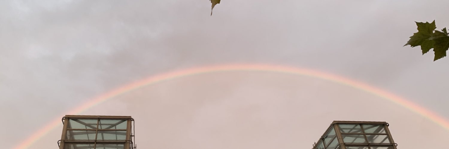 laurel ᯓ★ banner