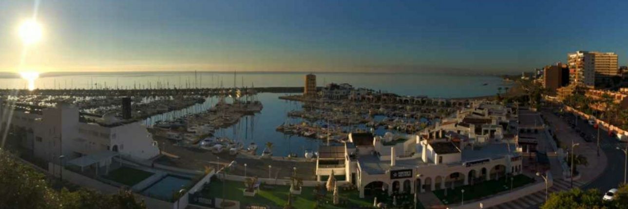 Marisol Téllez M. banner