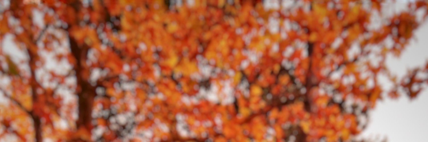 FireOakInfo's profile banner image