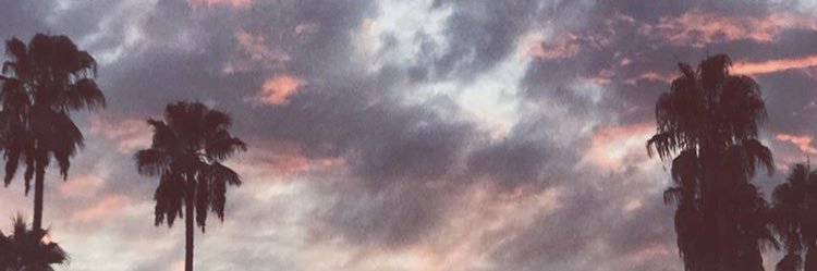 sunnyside_nope's profile banner image