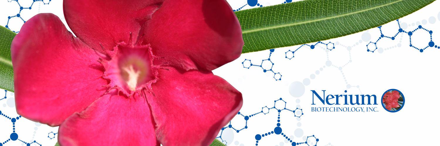 NeriumBio_Inc's profile banner image
