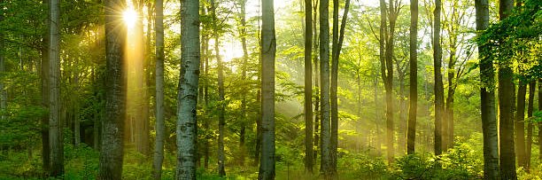 Dan Riley 🌍 banner