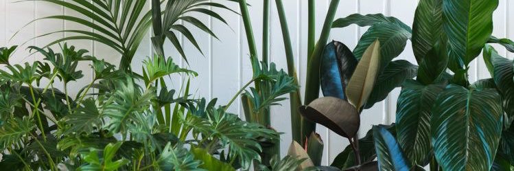 abbiemckenziee's profile banner image