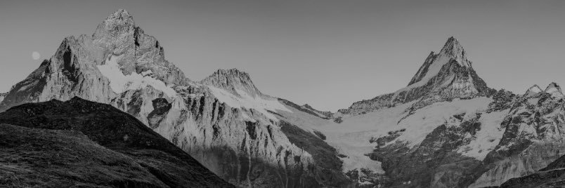 Mario Moscatiello banner