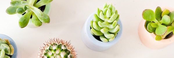 viluvc97's profile banner image