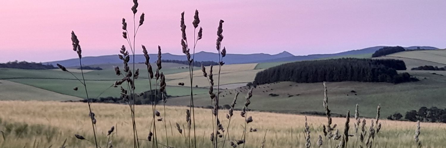 stoddart62's profile banner image