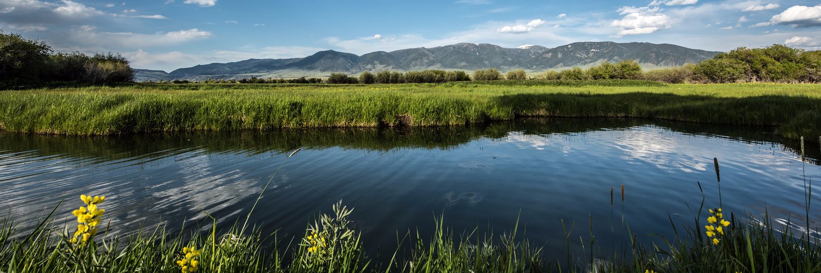 The MT Land Reliance banner