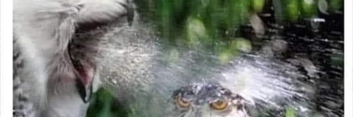 Its_JimboSlice's profile banner image