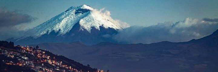 soledadsilvaba1's profile banner image